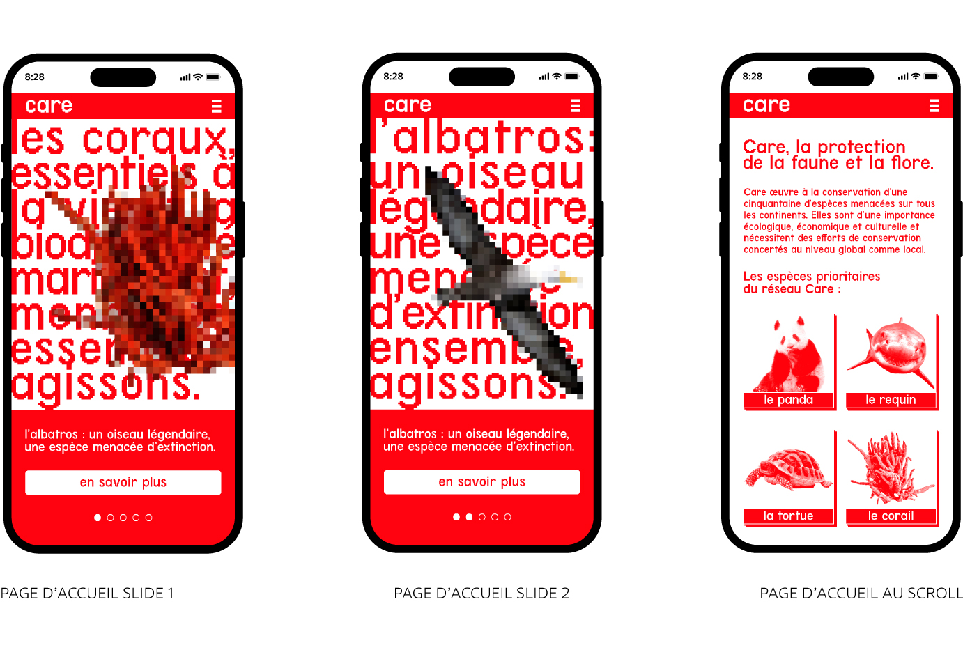 RVB-DESIGN_CARE_WEBAPPLICATION_ACCUEIL_V3