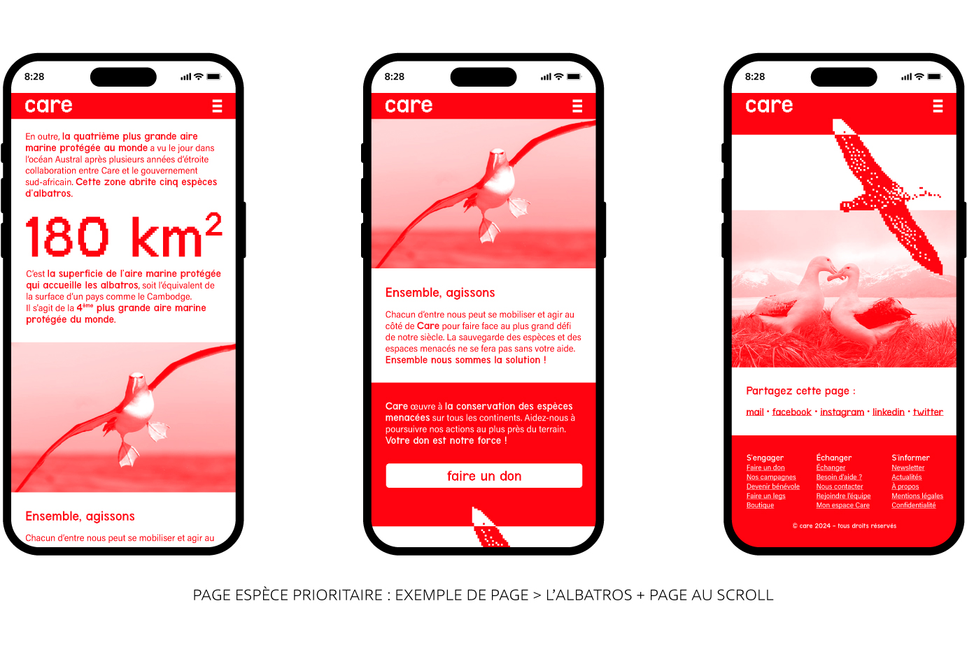 RVB-DESIGN_CARE_WEBAPPLICATION_ESPECE_PRIORITAIRE_SCROLL