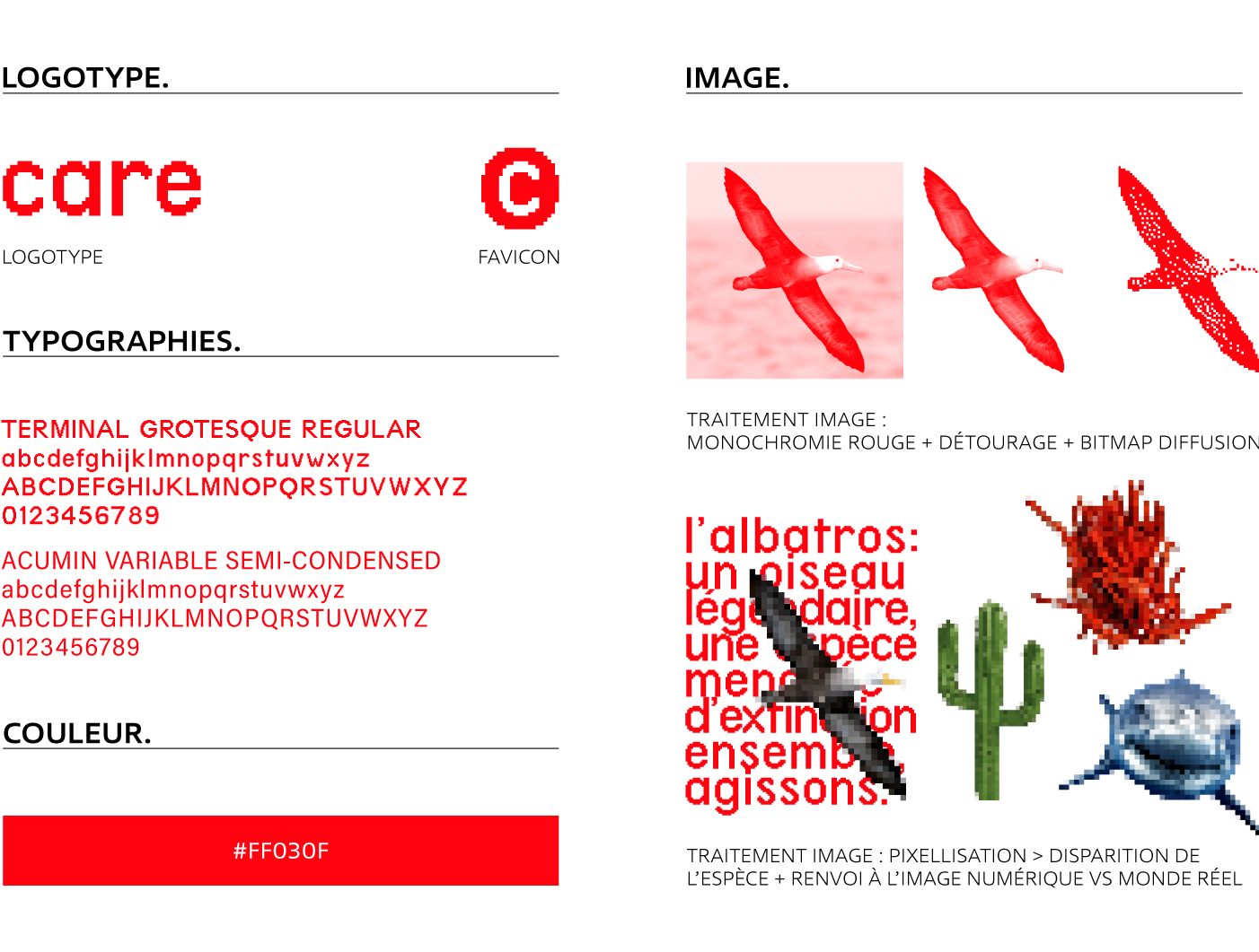 RVB-DESIGN_CARE_WEBAPPLICATION_IDENTITE_VISUELLE